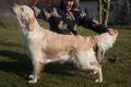 Stella 2 Jahre alt