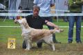 Stella wird zweite in Aichach