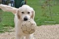 Thlyer ist fit fuer die WM!