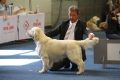 Thyler V2 - Europasieger-Ausstellung Dortmund