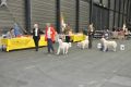 Thyler gewinnt in Offenburg