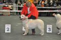 Thyler gewinnt in Offenburg