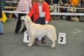 Thyler gewinnt in Offenburg