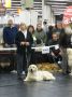 Thyler auf der IHA Nürnberg 2011 - warten....