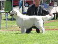 Thyler V2 in Markt Bibart 2011