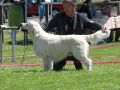 Thyler V2 in Markt Bibart 2011