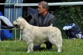 Thyler in Aichach - 3 Jahre alt