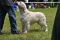 Thyler in Aichach - 3 Jahre alt