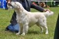 Thyler in Aichach - 3 Jahre alt