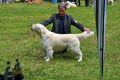 Thyler in Aichach - 3 Jahre alt