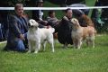 Thyler und Windwhirl Early Heart Even - Championrüden