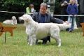 Thyler V2 in Aichach