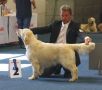 Thyler V2 - Europasieger-Ausstellung Dortmund