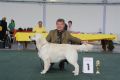 Thyler gewinnt in Saarbrücken