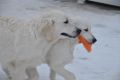 Thyler und Tiffany