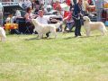 Thyler Zweiter in England - 2011
