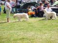 Thyler Zweiter in England - 2011