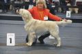 Thyler gewinnt in Friedrichshafen 