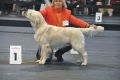 Thyler gewinnt in Friedrichshafen 