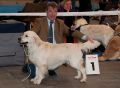 Thyler gewinnt auf der IHA Muenchen 2010