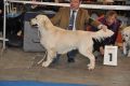 Thyler gewinnt auf der IHA Muenchen 2010