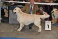 Thyler gewinnt auf der IHA Muenchen 2010