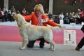Thyler gewinnt in Wettingen