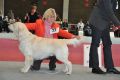 Thyler gewinnt in Wettingen