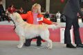 Thyler gewinnt in Wettingen