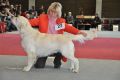 Thyler gewinnt in Wettingen