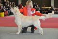 Thyler gewinnt in Wettingen