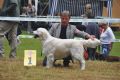Thyler gewinnt in Aichach