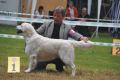 Thyler gewinnt in Aichach