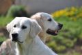 Riva und Tiffany - Mutter und Tochter