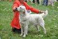 Tiffany wird zweite in Winnenden