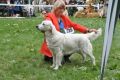 Tiffany wird zweite in Winnenden