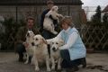 Unsere erfolgreichen Showdogs...