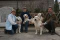 Unsere erfolgreichen Showdogs...