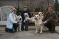 Unsere erfolgreichen Showdogs...